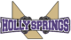 HOLLY SPRINGS HIGH SCHOOL VALORANT